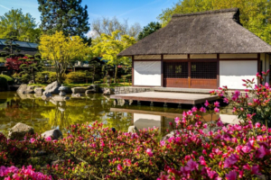 Zen Bahçeleri ve Meditatif Tasarım Yaklaşımları